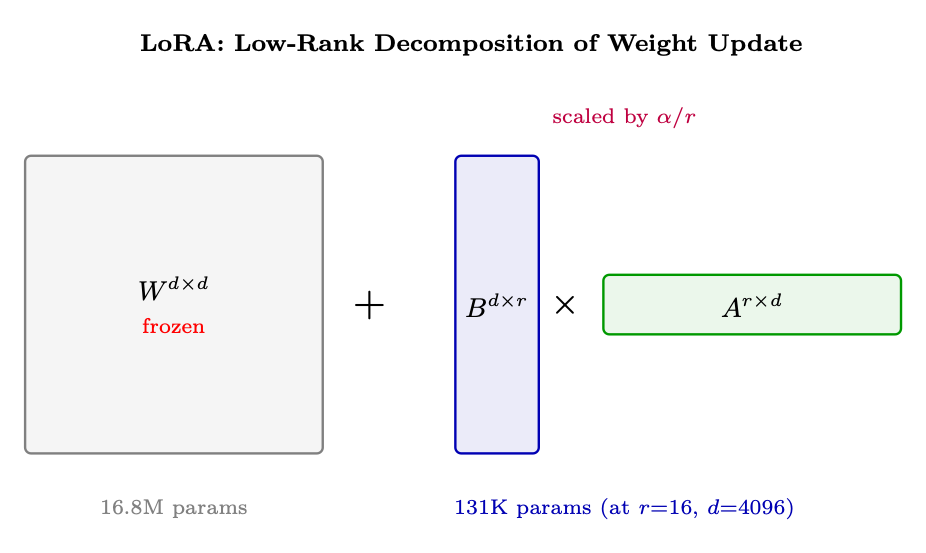 Figure 1.10: LoRA decomposes the weight update Δ​W\Delta W into two small matrices B×AB\times A. The original weight WW 